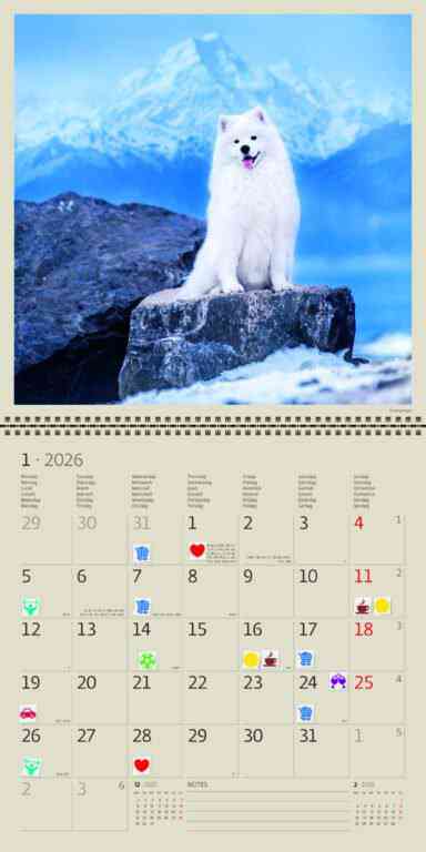 Animals - Calendar Dogs