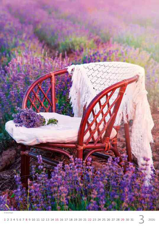 Wall calendars 2026 - Calendar Provence