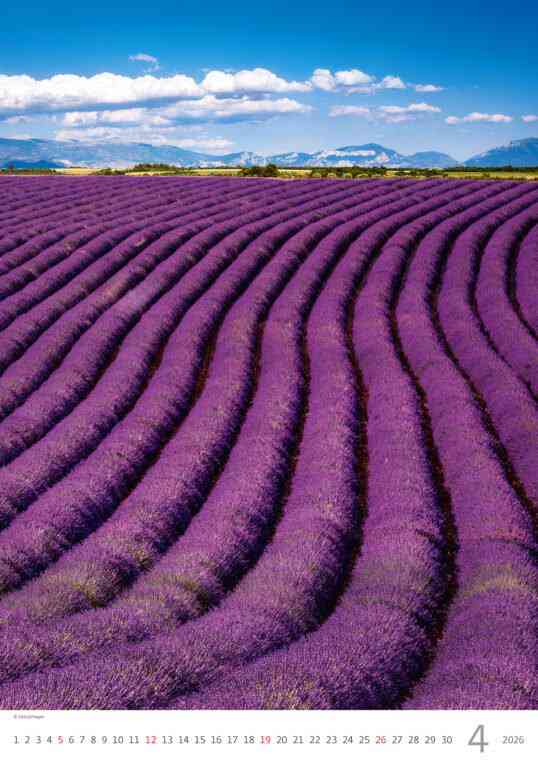 Wall calendars 2026 - Calendar Provence