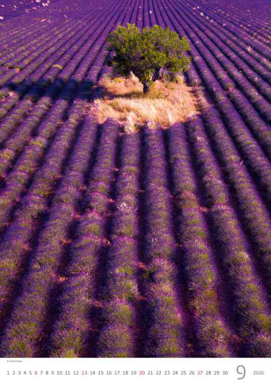 Wall calendars 2026 - Calendar Provence