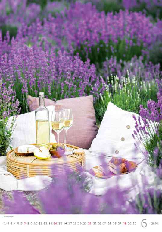 STANDARD - Calendar Provence