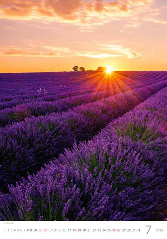 STANDARD - Calendar Provence