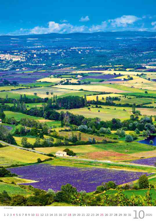 STANDARD - Calendar Provence