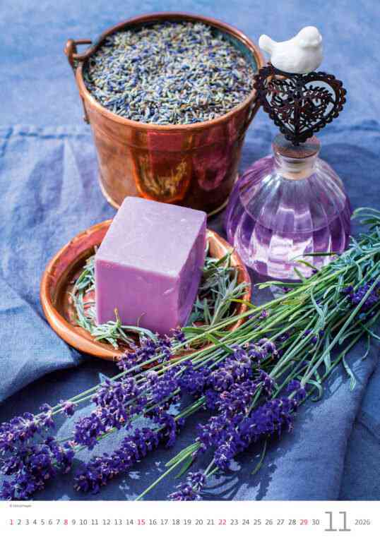 STANDARD - Calendar Provence