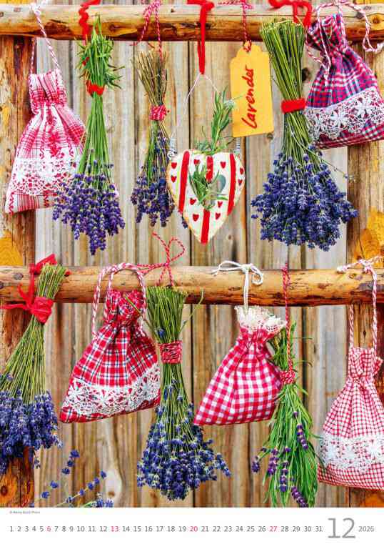 STANDARD - Calendar Provence