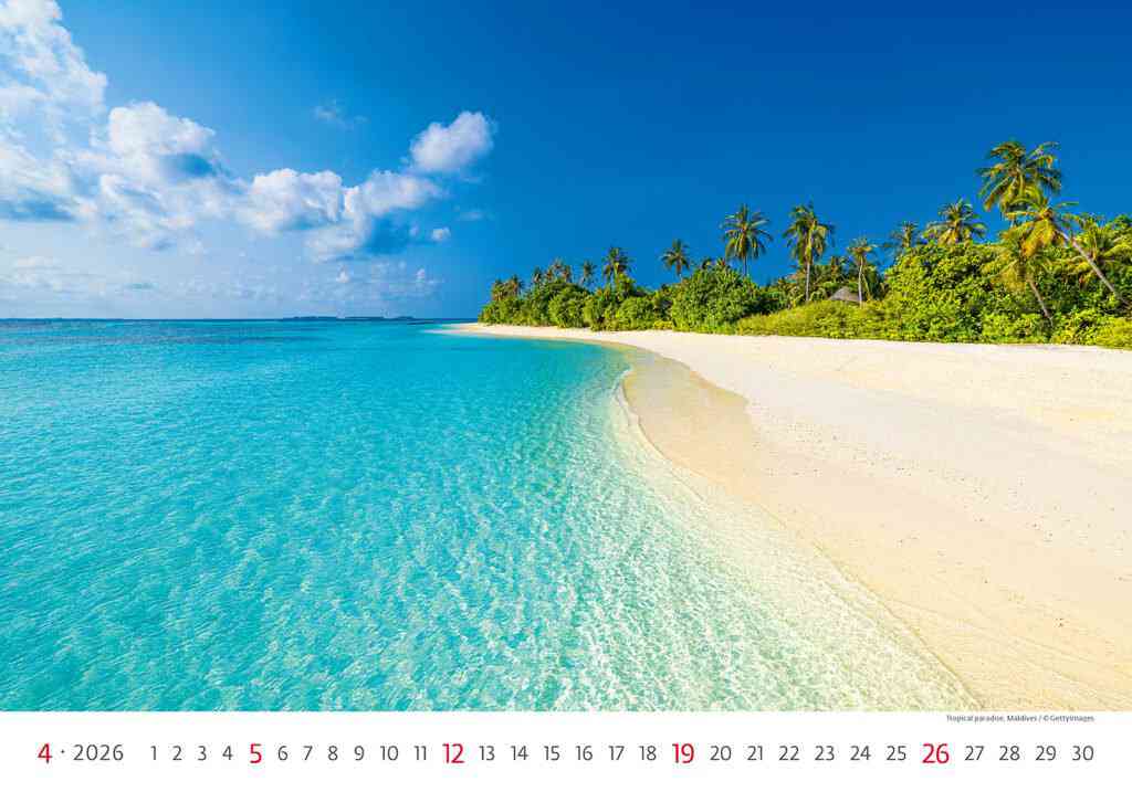 Wall calendars 2026 - Calendar Sea