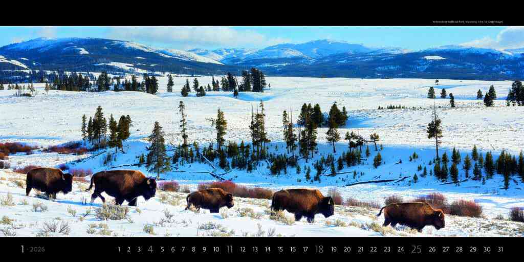 EXCLUSIVE EDITION - Calendar Panoramaphoto