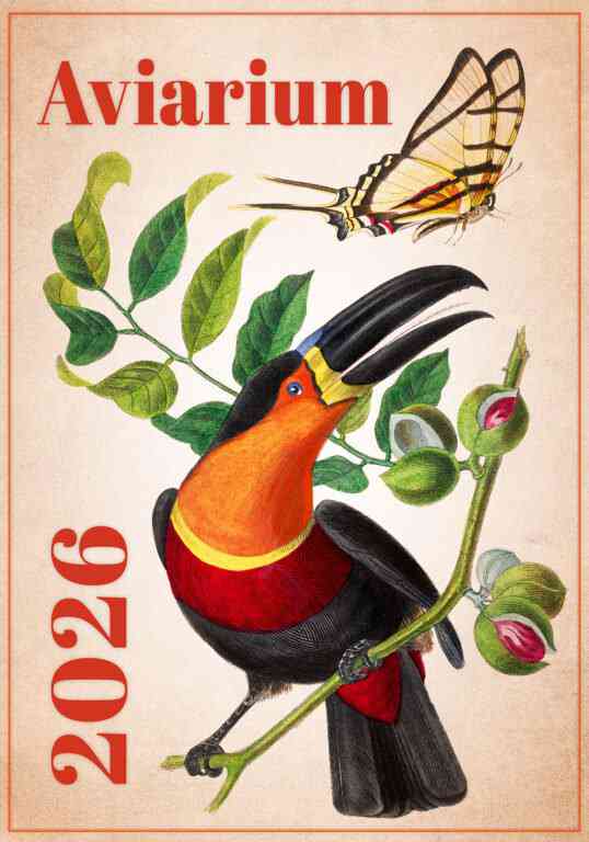 Wall calendars 2026 - Calendar Aviarium