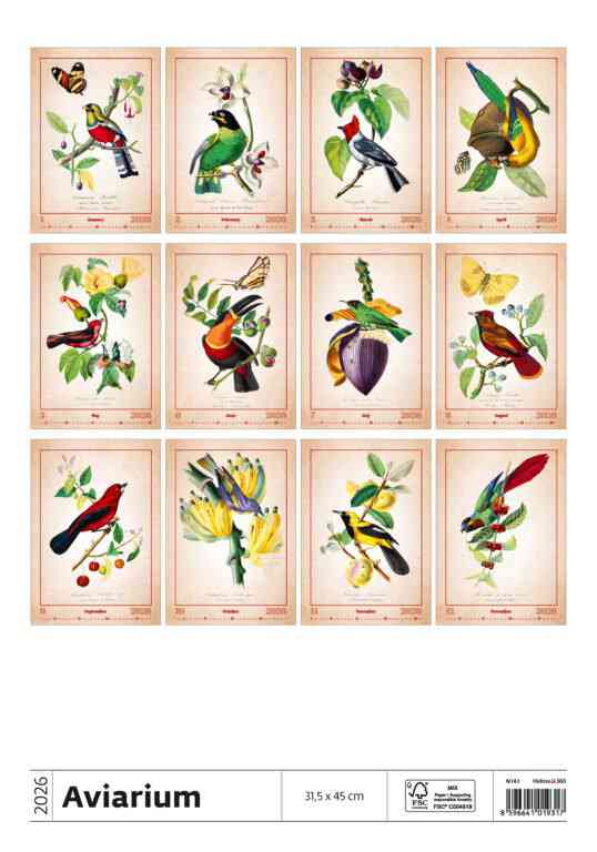 Wall calendars 2026 - Calendar Aviarium