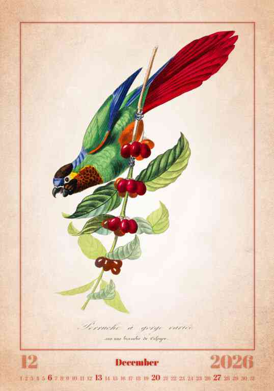 STANDARD - Calendar Aviarium