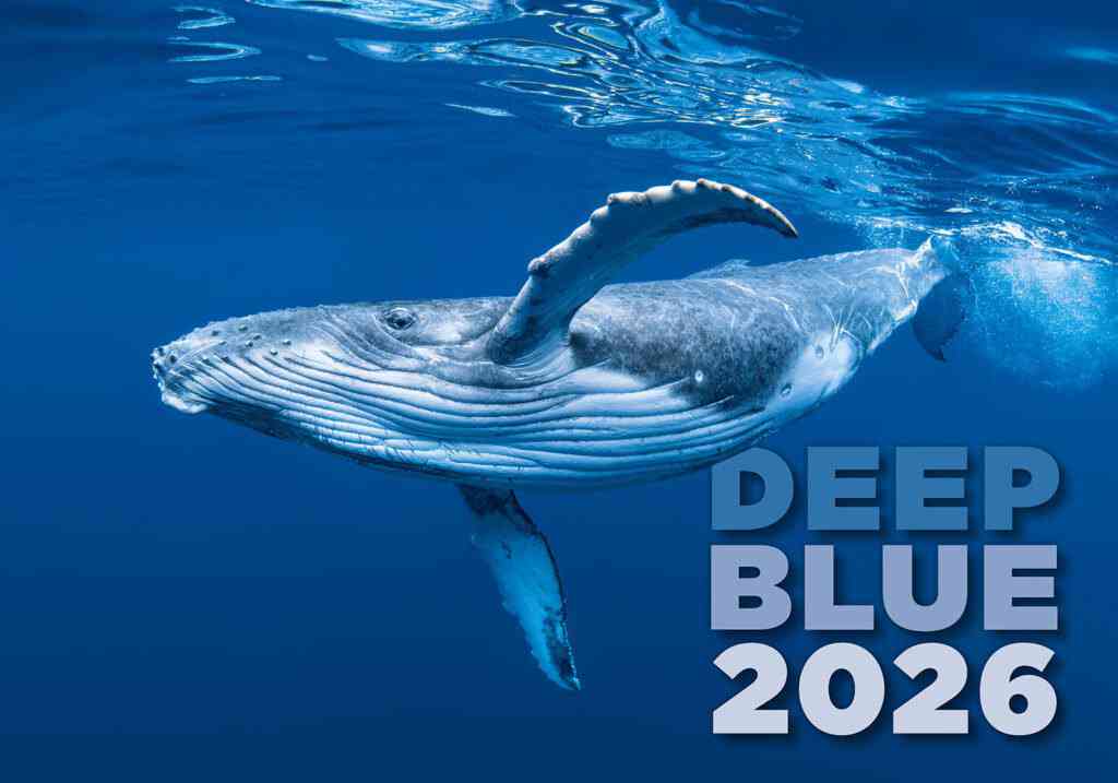 Wall calendars 2026 - Calendar Deep Blue