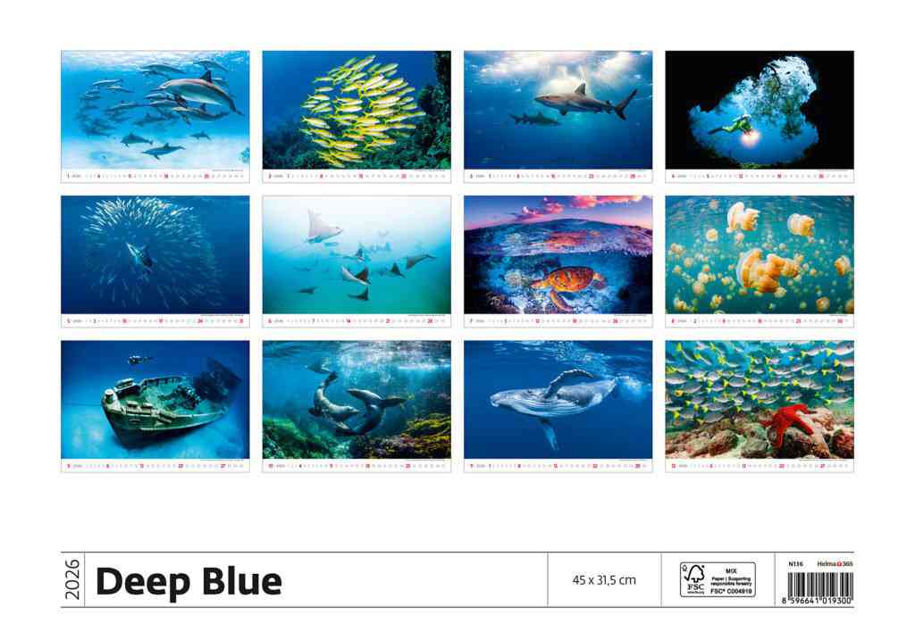 Wall calendars 2026 - Calendar Deep Blue