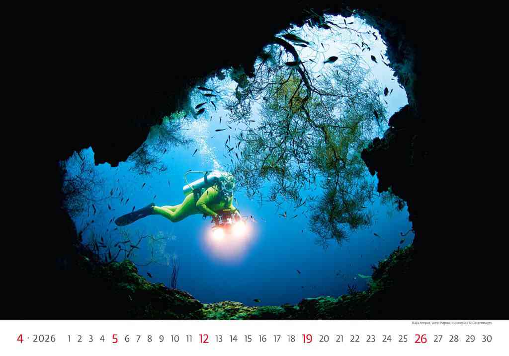 STANDARD - Calendar Deep Blue