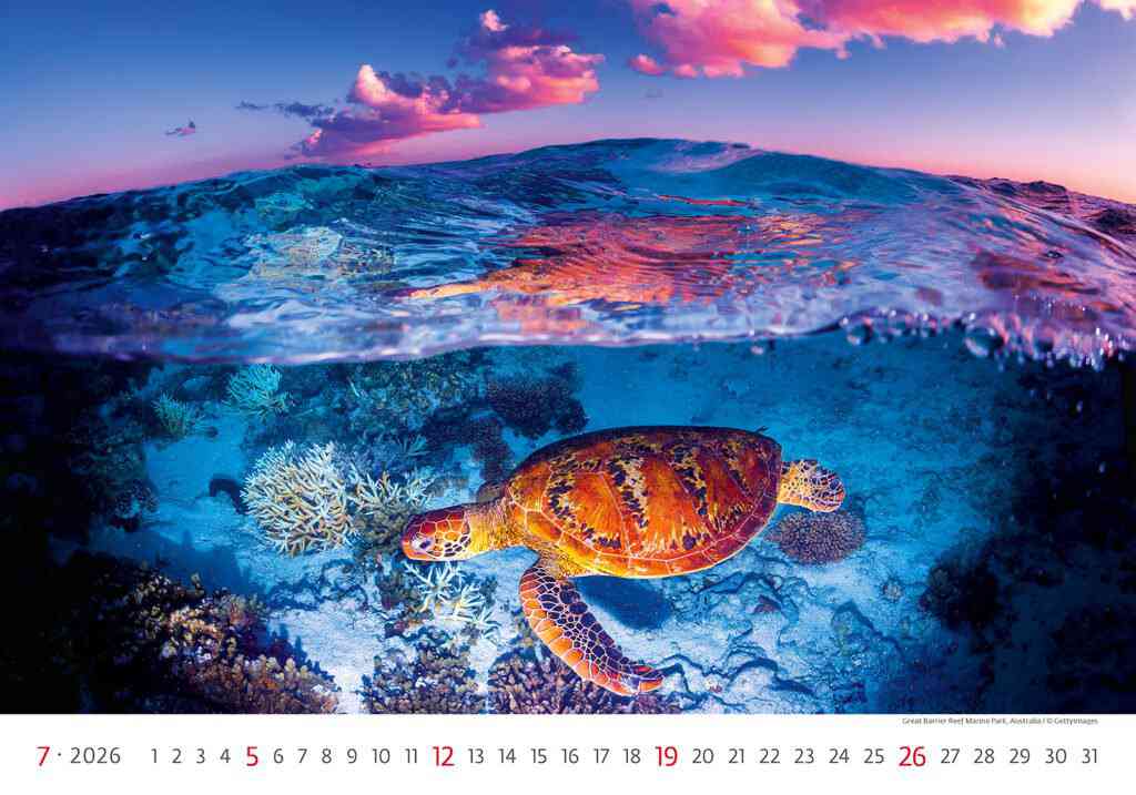 STANDARD - Calendar Deep Blue