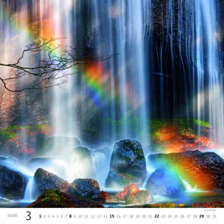 STANDARD - Calendar Aqua