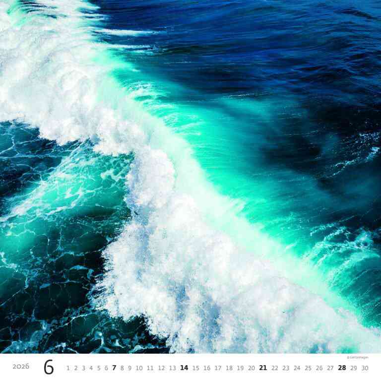 STANDARD - Calendar Aqua