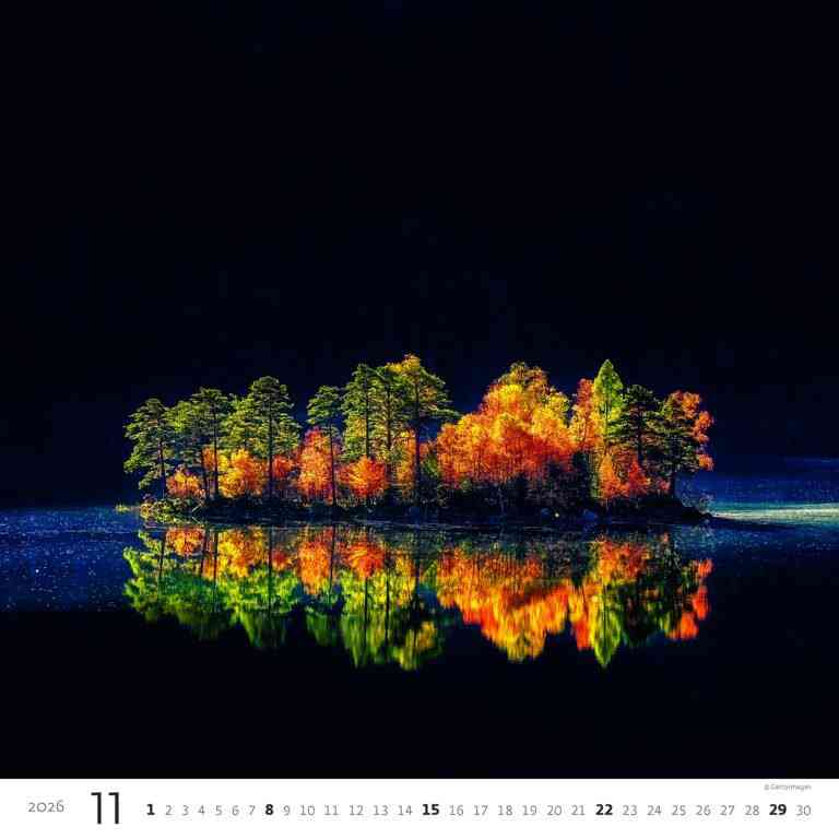 STANDARD - Calendar Aqua