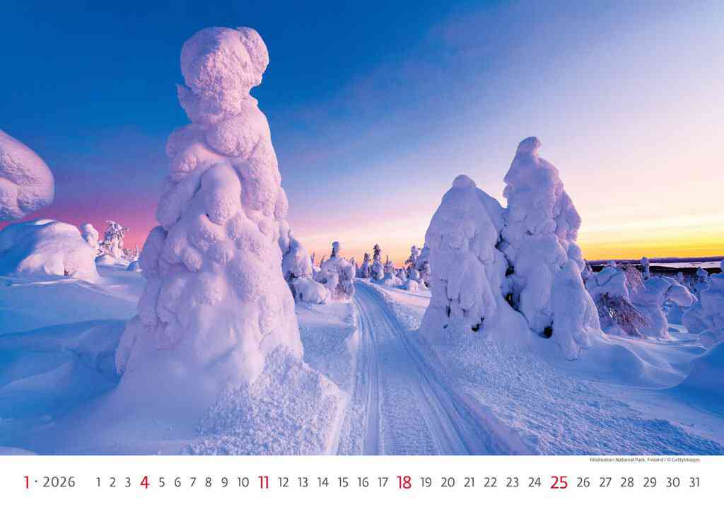 Wall calendars 2026 - Calendar Via