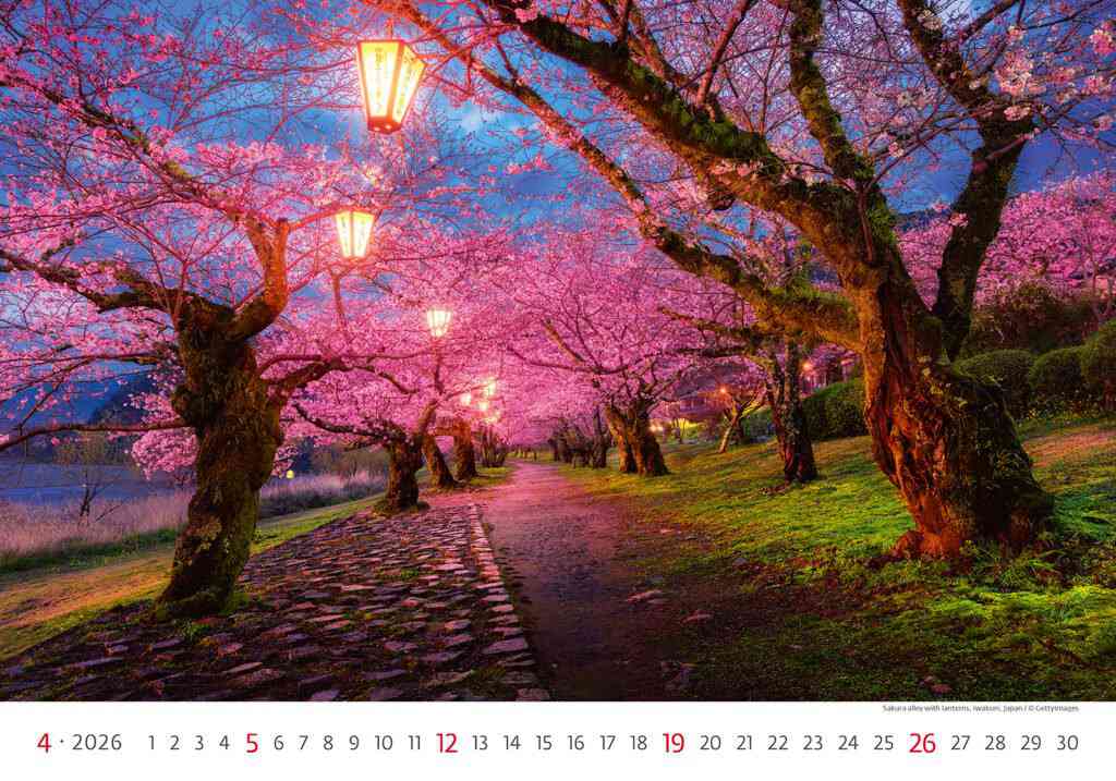 Wall calendars 2026 - Calendar Via