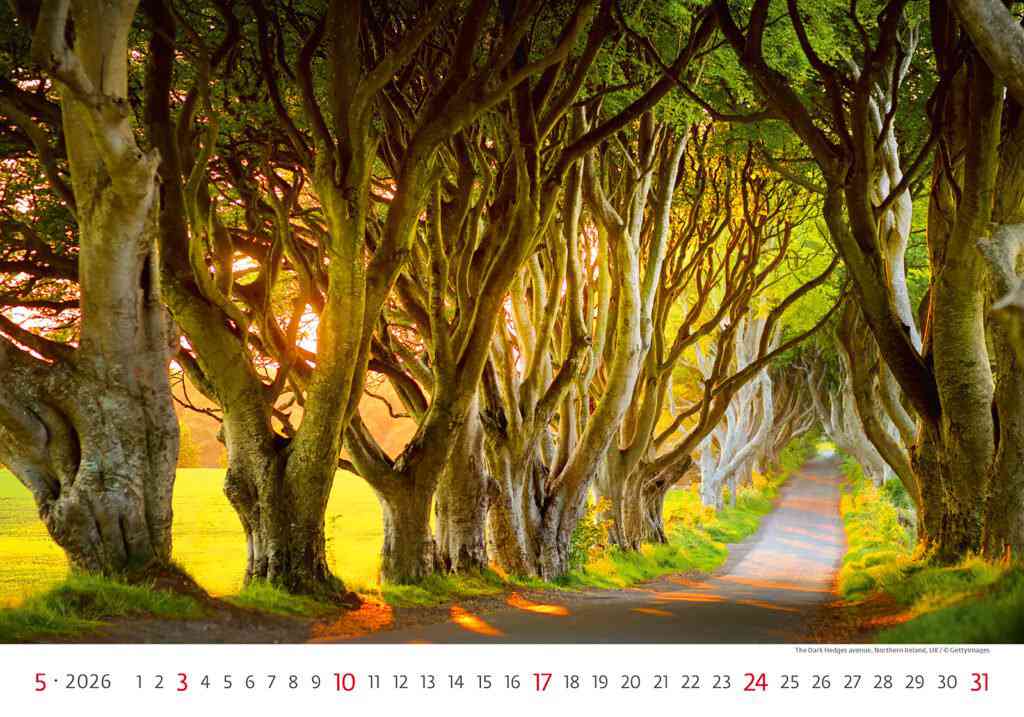 Wall calendars 2026 - Calendar Via