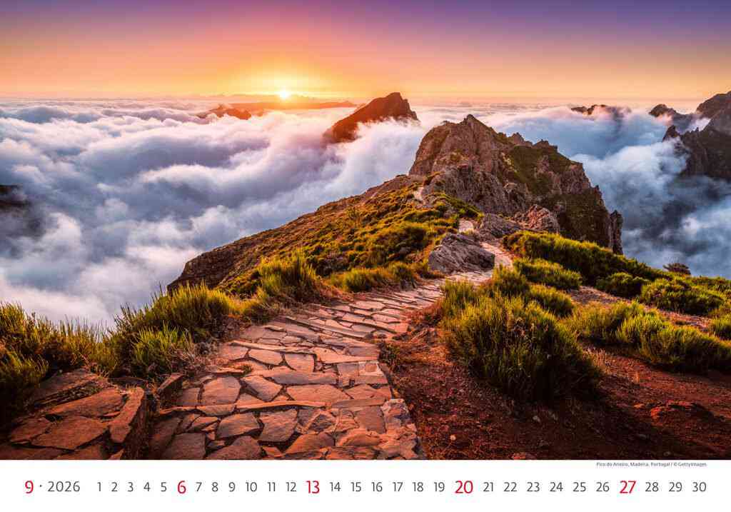 Wall calendars 2026 - Calendar Via