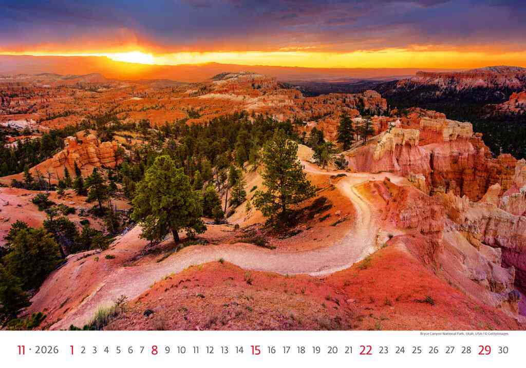 STANDARD - Calendar Via