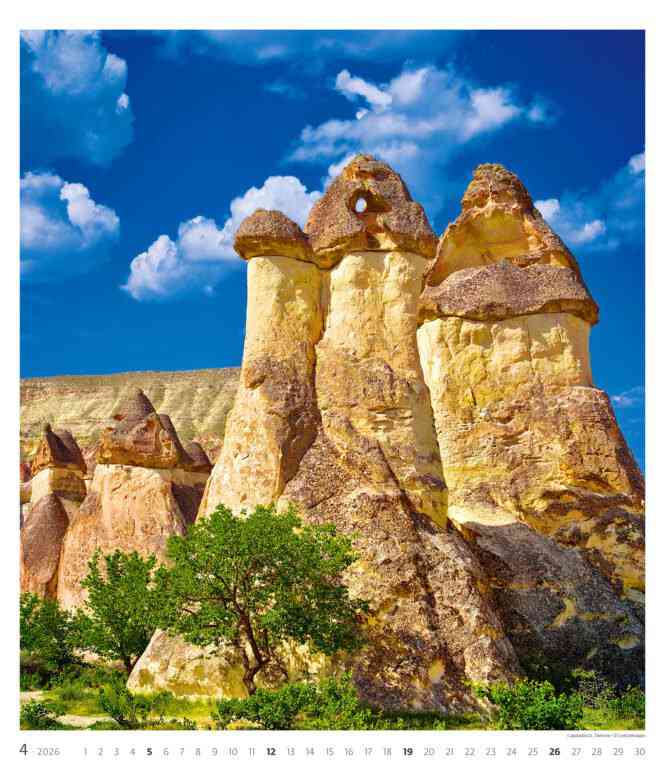 EXCLUSIVE EDITION - Calendar Geo Art