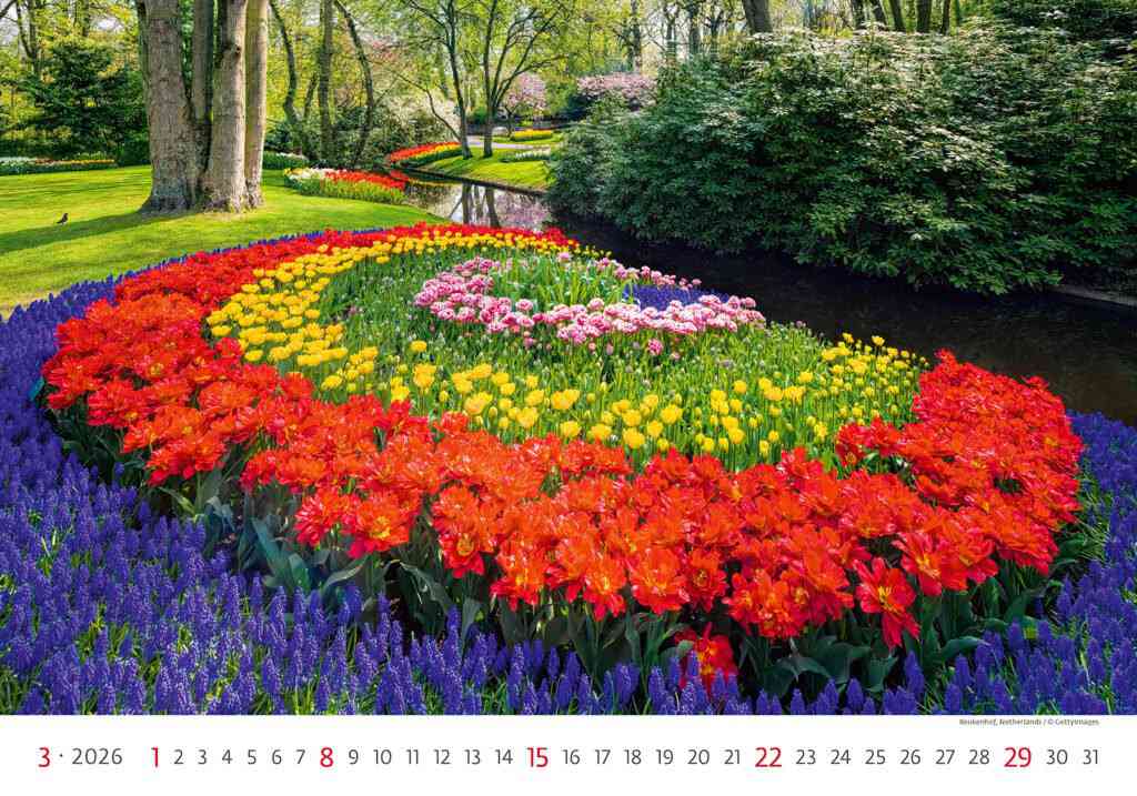 STANDARD - Calendar Gardens