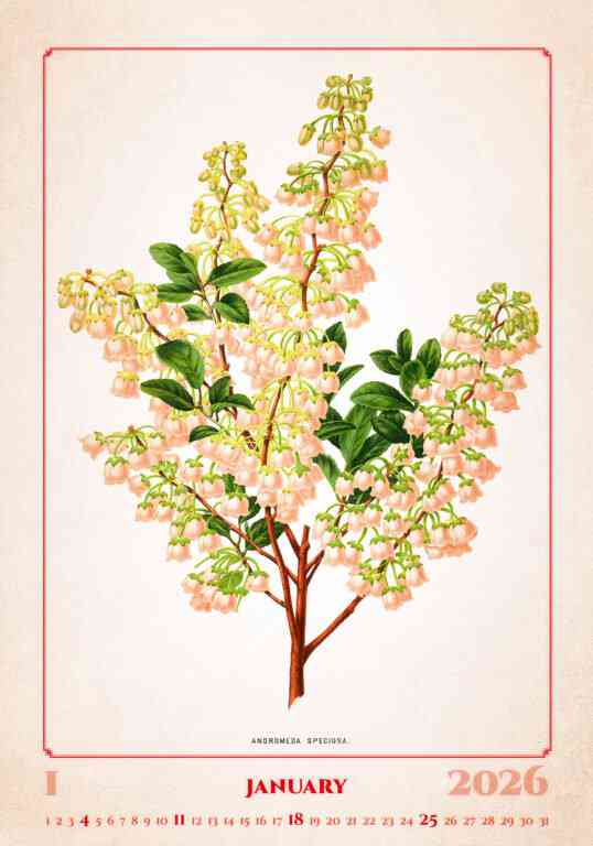 STANDARD - Calendar Herbarium