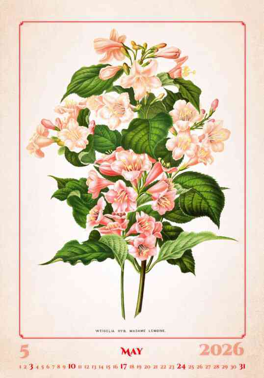 STANDARD - Calendar Herbarium