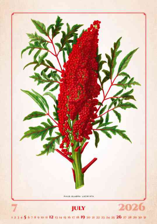 STANDARD - Calendar Herbarium