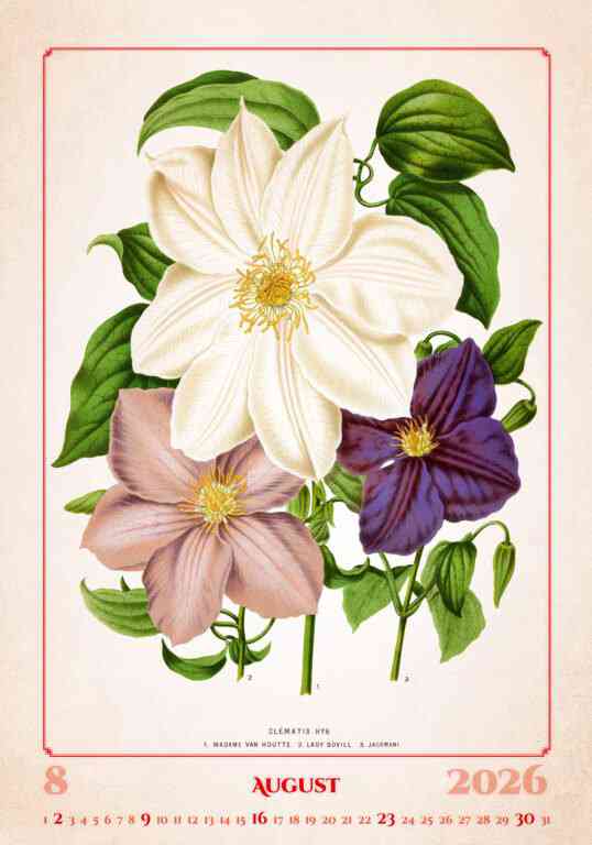 STANDARD - Calendar Herbarium