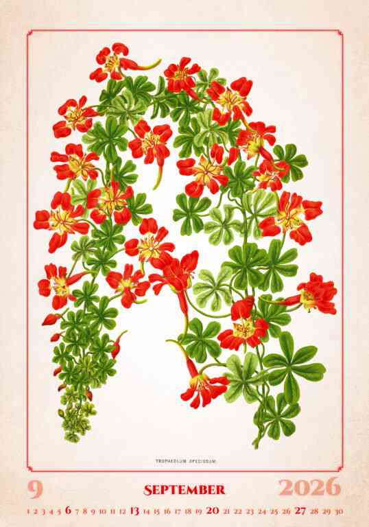 STANDARD - Calendar Herbarium