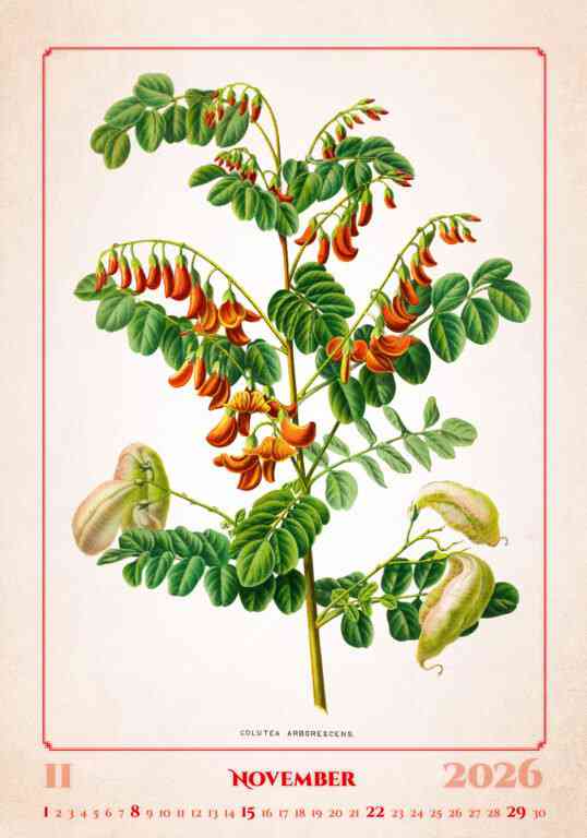 STANDARD - Calendar Herbarium