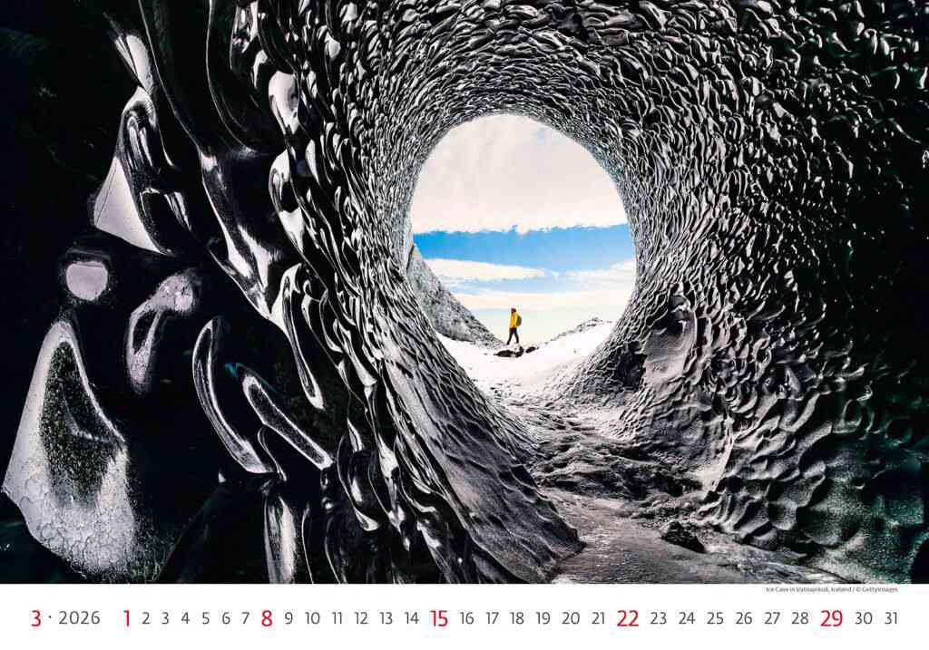 STANDARD - Calendar New Horizons