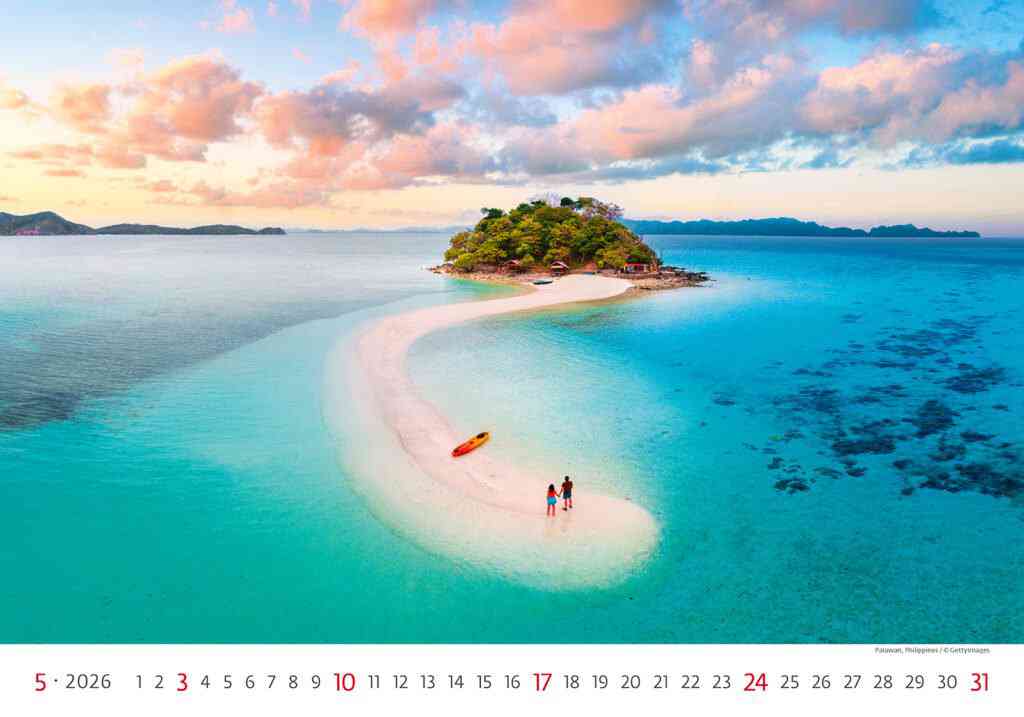 STANDARD - Calendar New Horizons