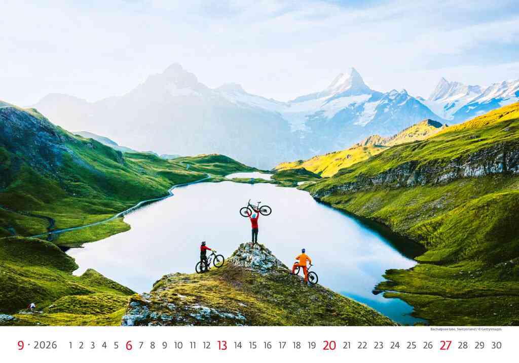 STANDARD - Calendar New Horizons