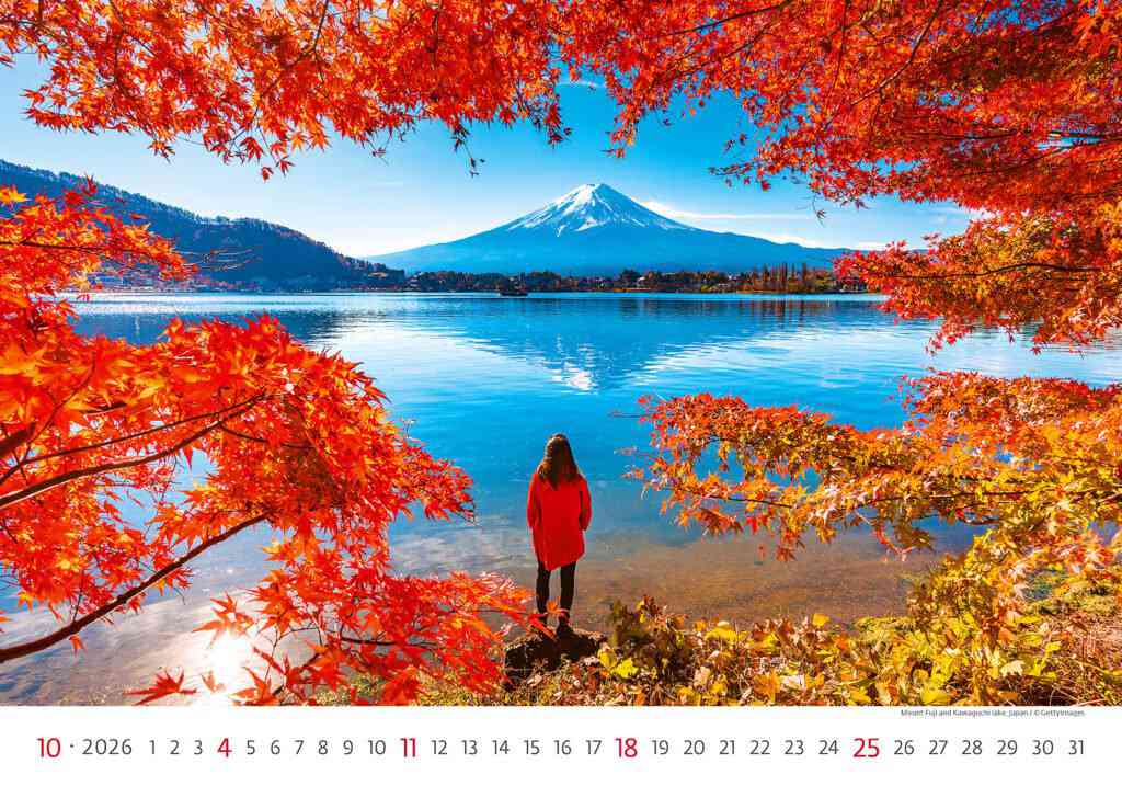 STANDARD - Calendar New Horizons