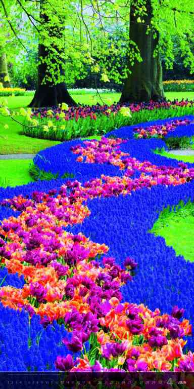 Wall calendars 2026 - Calendar Verticalphoto