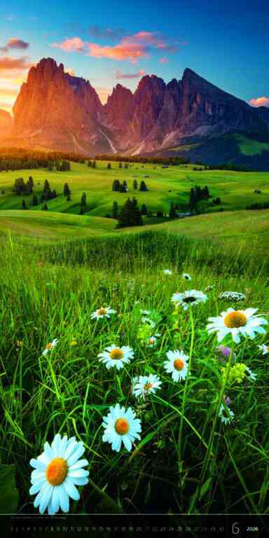 Wall calendars 2026 - Calendar Verticalphoto