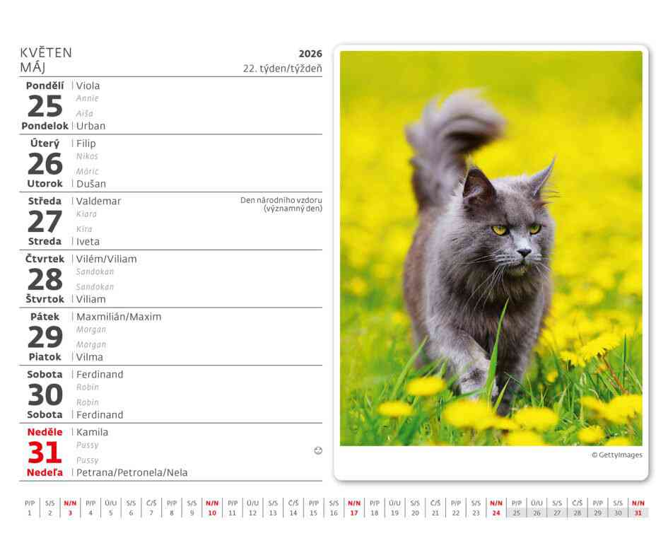 Stolové kalendáre 2026 - Kalendár Mačičky