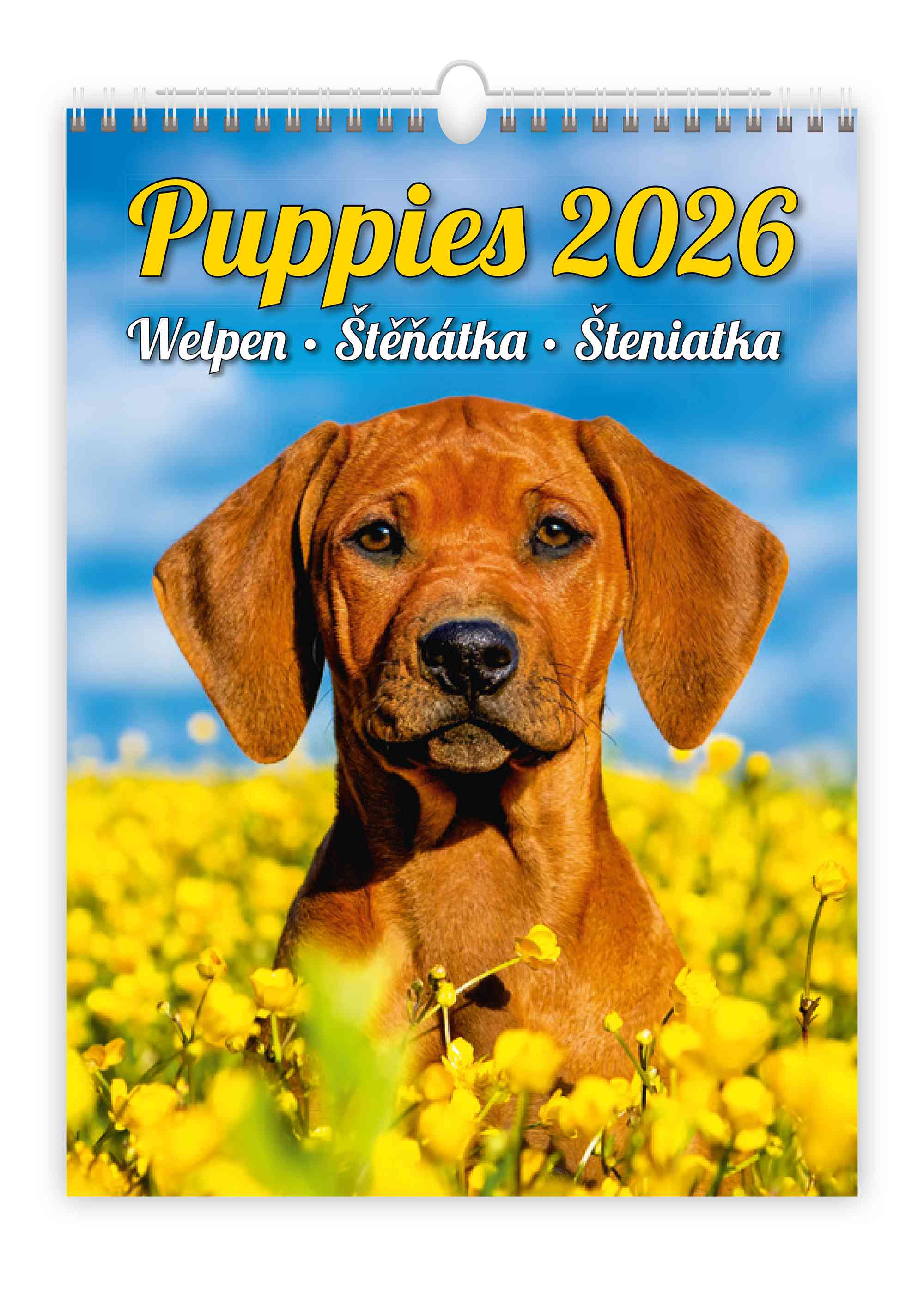 Wall calendars 2026 - Calendar Puppies