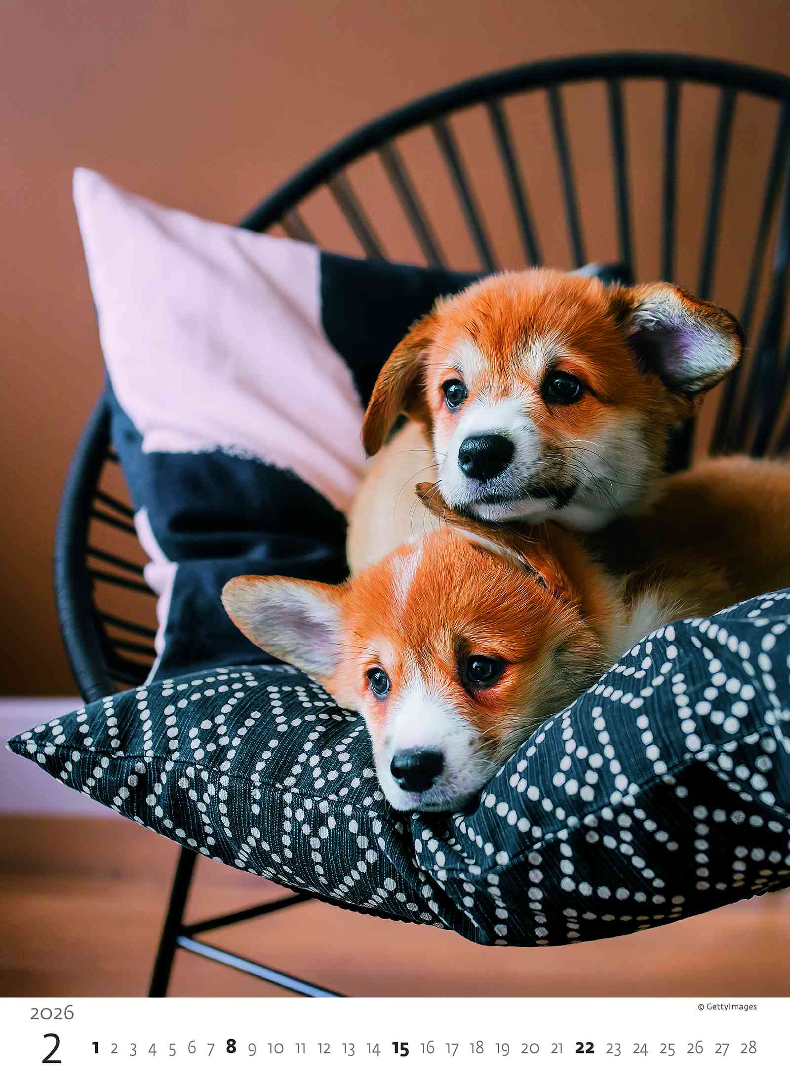Wall calendars 2026 - Calendar Puppies