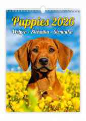 STANDARD - Calendar Puppies
