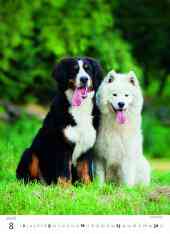 STANDARD - Calendar Puppies