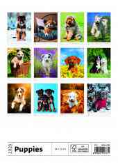 STANDARD - Calendar Puppies