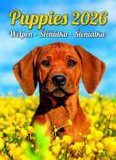 STANDARD - Calendar Puppies