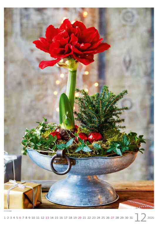 STANDARD - Calendar Magic Flowers