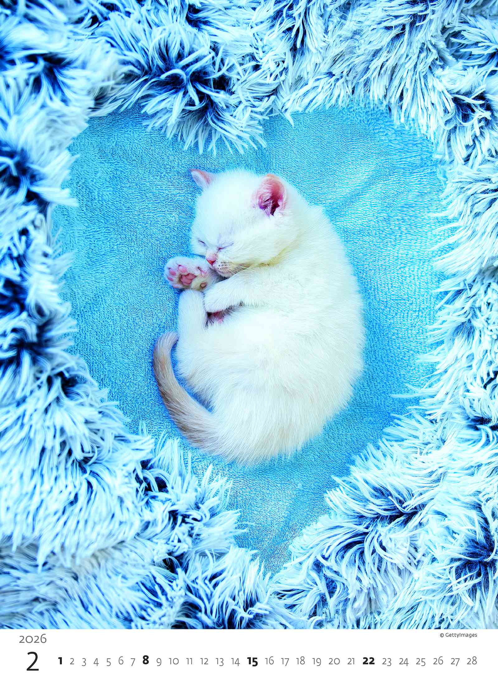 Wall calendars 2026 - Calendar Kittens