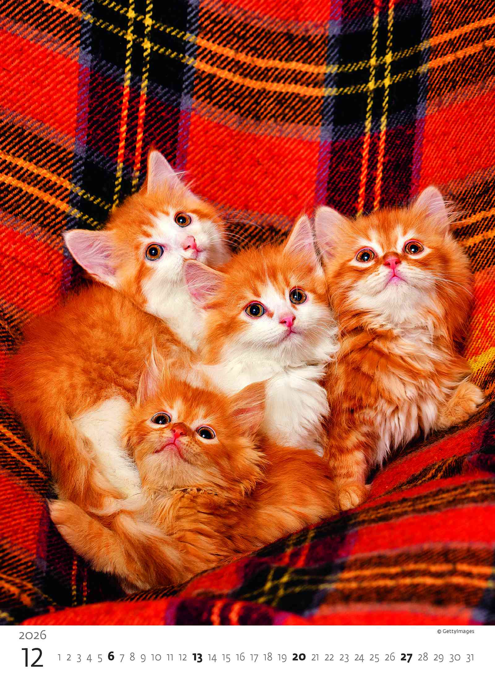 Wall calendars 2026 - Calendar Kittens
